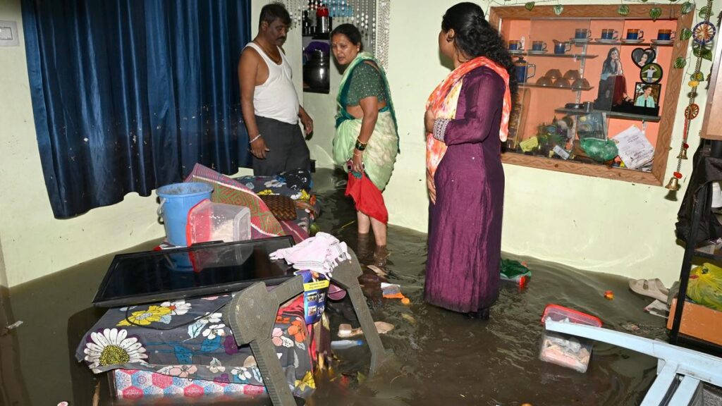 9911 1 4 2026 17 39 3 2 rainwater04
