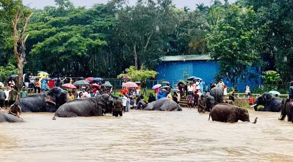 Sakrebailu Elephant Camp